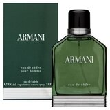 Armani (Giorgio Armani) Eau de Cedre toaletna voda za muškarce 100 ml | shoptok.hr