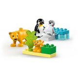 Lego DUPLO: Družine divjih živali: pingvini in levi | Shoptok.si