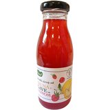Biospajz Organski sirup od limuna sa malinom i agavom, 200ml u