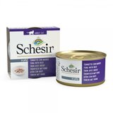 Schesir cat adult tunjevina & govedina konzerva 85g hrana za mačke Cene
