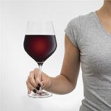  Ogromen kozarec za vino diVinto - bistri Cene