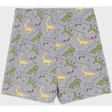 Sinsay Dvodijelna pidžama s motivom dinosaura | shoptok.hr