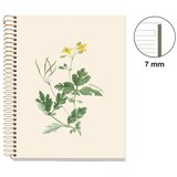  Kolegij blok Miquelrius A5 90g 80L spiralni crte Entredos Chelindonium MR4503 | shoptok.hr