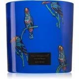 Jungletopia Rain Forest mirisna svijeća 620 g