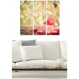 Wallity Set slika MDF265669334, 3 dijela | Eponuda.ba