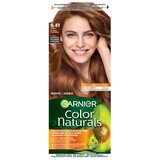 Garnier Color Naturals 6.41 Boja za kosu Cijene