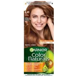 Garnier color naturals boja za kosu 6.41/ ćilibar cene