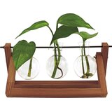Winkee Hydro Vase Blossom - 1 kos Cene