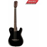  GITARA EL.-AK. EW3000CBK James Neligan Cijene