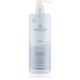 Awapuhi Wild Ginger Hydrasoft Shampoo 1000 ml šampon suha kosa unisex