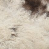  Ovčja koža šarena (60-70) x (90-100) cm | shoptok.hr