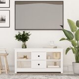 vidaXL TV ormarić bijeli 103 x 36,5 x 52 cm od masivne borovine Cijene