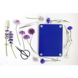 Printworks Interaktivna igrača Flower Press Kit – | Shoptok.si