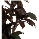Ixia Umjetna biljka (visina 170 cm) – | shoptok.hr