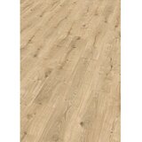 Egger Laminat Dunnington (Do x Š x De: 129,2 cm x 19,3 cm x 8 mm) Cene
