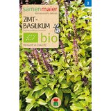 Samen Maier BIO cimetova bazilika Cene