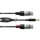 Cordial 1\,8M REAN klinken 3\,5MM/2X XLR F, (20428139) | Shoptok.si