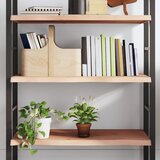  Zidna polica 100x40x(2-4) cm neobrađena masivna hrastovina | shoptok.hr