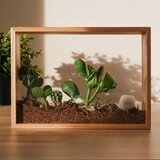 DIY set za izradu vlastitog vertikalnog vrta u