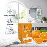 Body Restore Vigor Shower Steamers tablete za prho dišave Orange 3 kos | Shoptok.si