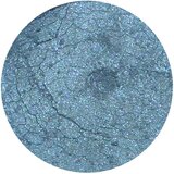 Provida Organics earth Minerals Pearluster sjenilo za oči - Sky | shoptok.hr
