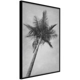  Poster - Memories from the Paradise 40x60 | shoptok.hr