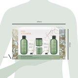 Baylis & Harding Wellness. Energise darilni set Ginger, Lime & Basil Leaf | Shoptok.si