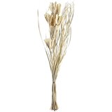 Eglo living suvo cveće, prirodni Senneterre 428051 | ePonuda.com