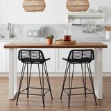 Barska stolica 2 pcs Crna 44 x 45 x 76 cm Ratan i Čelik | shoptok.hr