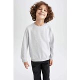 Defacto Boys Regular Fit Crew Neck Reversible Sweatshirt | shoptok.hr