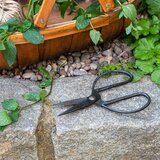 Rex London Vrtne škarje Your Garden – | Shoptok.si