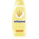 Schwarzkopf Schauma Gentle Repair nježan njegujući šampon za suhu i oštećenu kosu 400 ml | shoptok.hr