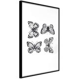  Poster - Butterfly Collection III 30x45 Cijene