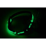 DREAMTOYS Gag Radiant Glow In The Dark Green | Shoptok.si