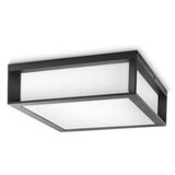 Philips PH066 spoljašnja zidna - plafonska svetiljka Skies max 2x42W 230V antracit | ePonuda.com