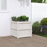 Maison Chic Vrtno cvetlično korito - Cvetlični Lonec belo 60x60x60 cm trdna borovina, (21790367) | Shoptok.si