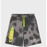 Sinsay Lude kratke hlače s printom The Simpsons | shoptok.hr