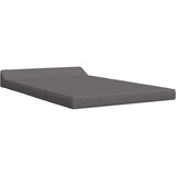 SOFA na razvlačenje Svjetlosiva 120 x 60 x 49 cm Tkanina | Eponuda.ba