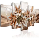  Slika - Brown Graces 100x50 | shoptok.hr