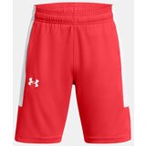 Under Armour boys' shorts UA Baseline Short | ePonuda.com