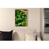 Venture Home poster Green Leaf 30 × 40 cm, zeleni | shoptok.hr
