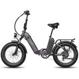 Fafrees Elektro kolo FF20 Polar, dvojne baterije, 48V 20,8Ah, črna, (5000039008) Cene