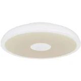 LED stropna svetilka Raffy (18 W, 280 x 55 mm, RGBW, bela)