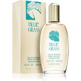 Elizabeth Arden Blue Grass parfumska voda 100 ml za ženske | Shoptok.si