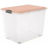 Rotho Plastična škatla za shranjevanje s pokrovom Compact - Rotho