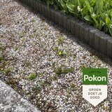 POKON tekoči koncentrat proti plevelu - 225ml, (5000006784) | Shoptok.si