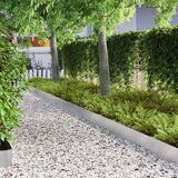  Ograda oko Travnjaka 450 x 25 cm Nehrđajući čelik Srebrno | shoptok.hr