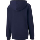Puma Puloverji Teamgoal 23 Causals Hoody pisana | Shoptok.si
