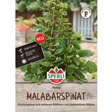 SPERLI Malabarska špinača Rubra | Shoptok.si