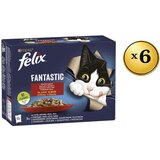 Felix Prelivi multipack, 72x85g | Eponuda.com